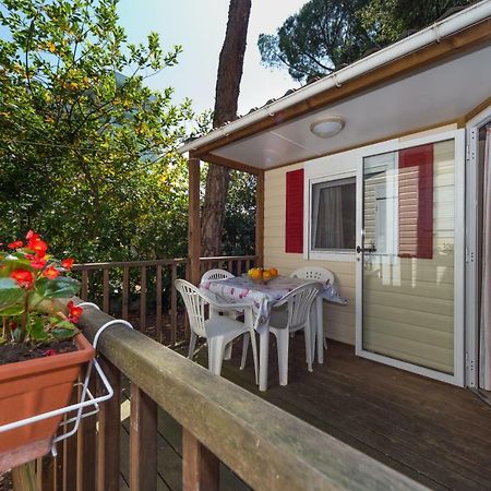 Diana & Josip Mobile Homes ビオグラード・ナ・モル エクステリア 写真
